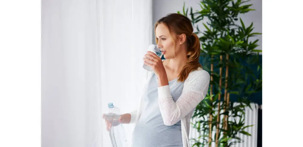 Can You Drink Sparkling Water While Pregnant?
